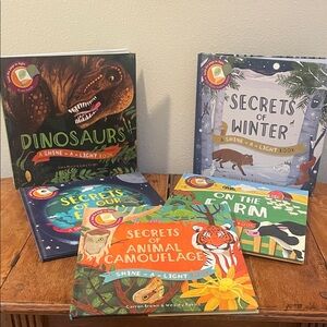 Usborne Shine-A-Light Interactive Book Bundle of 5
